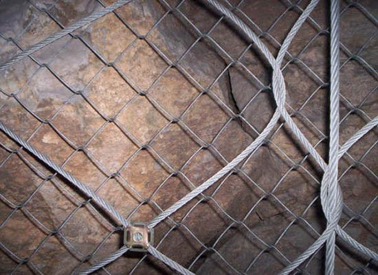 重庆SNS91视频免费版下载