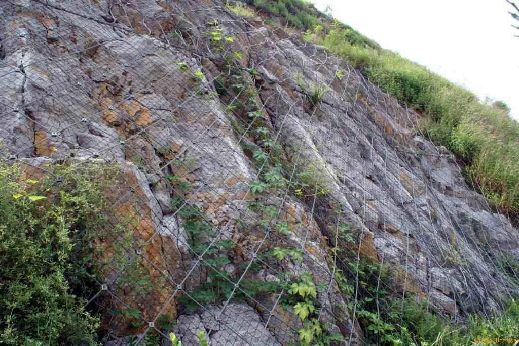 重庆91视频免费版下载 重庆91视频免费版下载